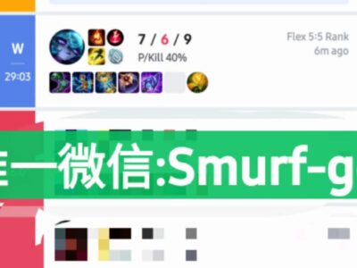 澳服LOL FLEX陪练至大师